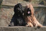 BRIARD 093